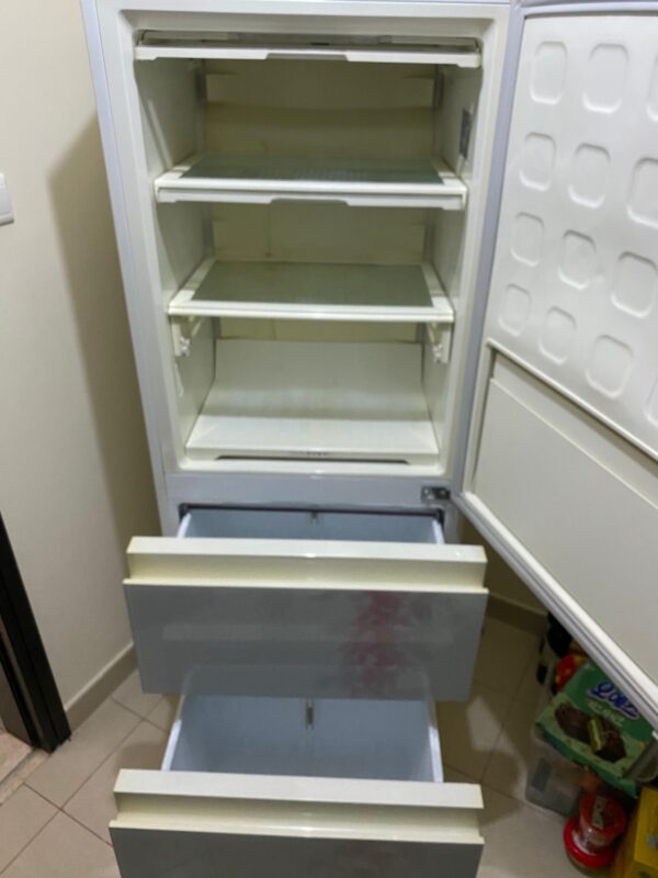 Freezer Free Standing from Dios - Image 2